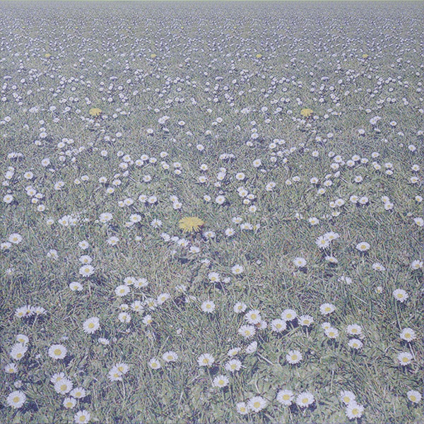 Daisyworld2